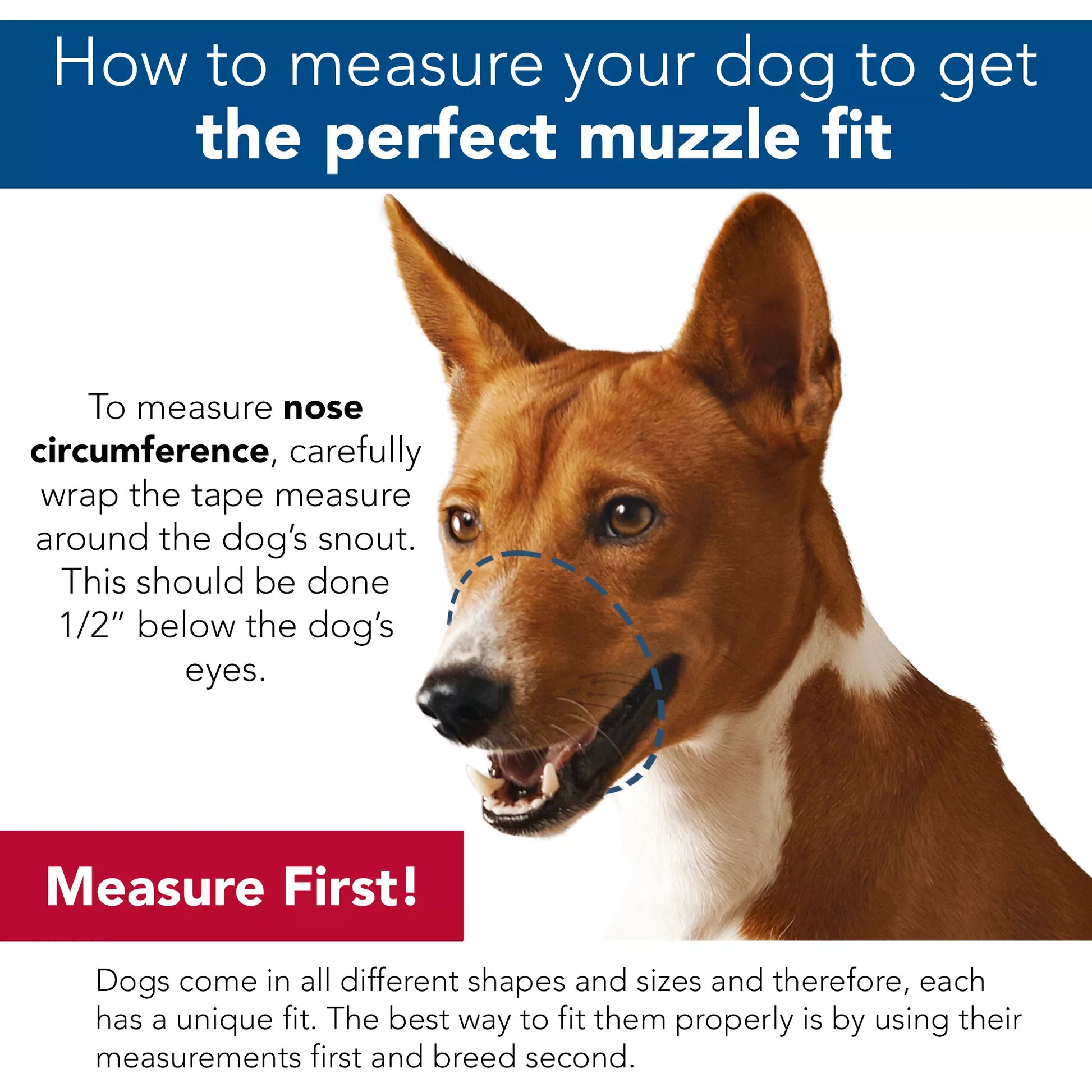 Best hot sale fit muzzle