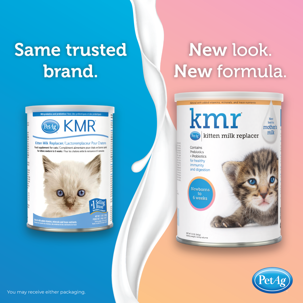 Where to top buy kitten milk