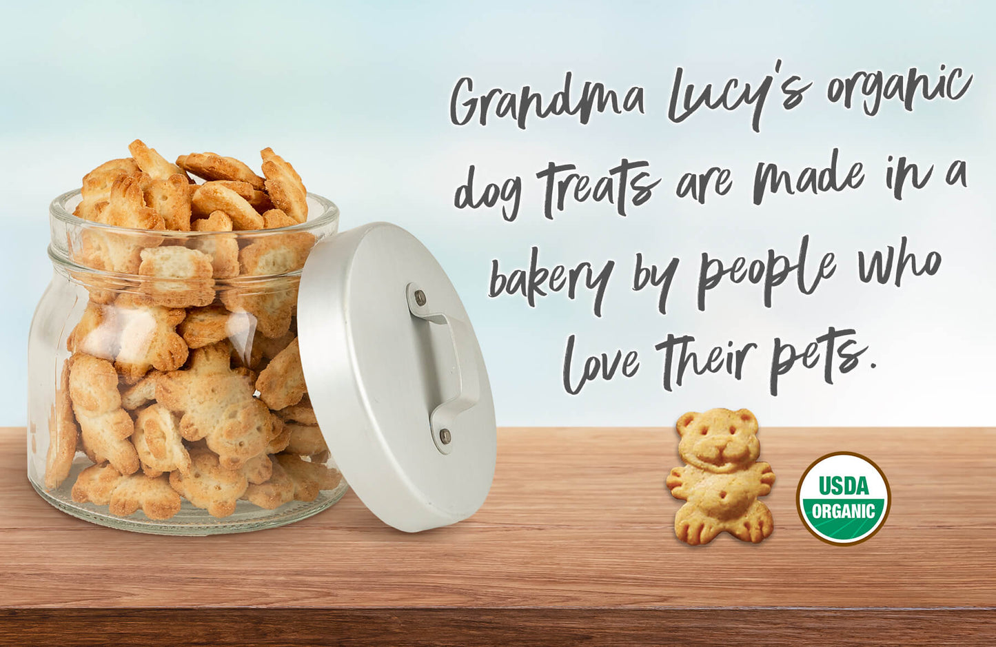 Grandma Lucy's Organic Oven-Baked Apple Recipe Dog Treats, 14-oz Bag