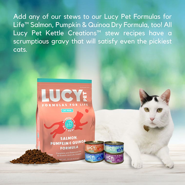 Lucy Pet Kettle Creations™ Sardine and Tuna Cat Recipe in Gravy, Wet Cat Food, 2.47-oz Case of 12