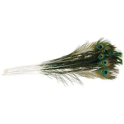 Go Cat Peacock Feather