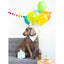 Pearhead Birthday Pawty Set For Dogs