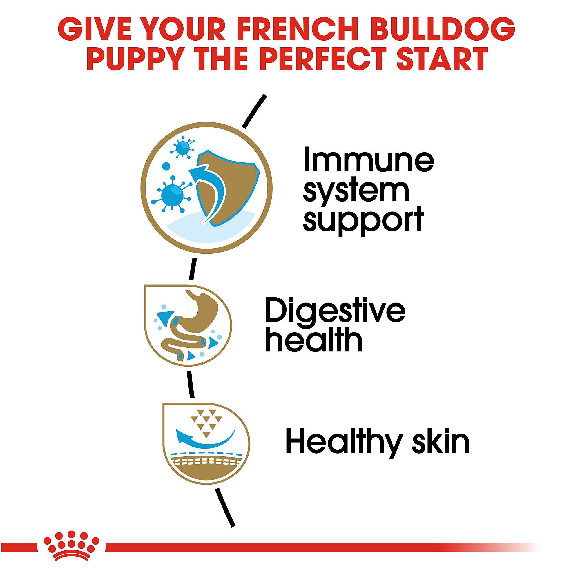 Royal Canin French Bulldog Puppy Dry Dog Food 3 lb Bag Anaheim