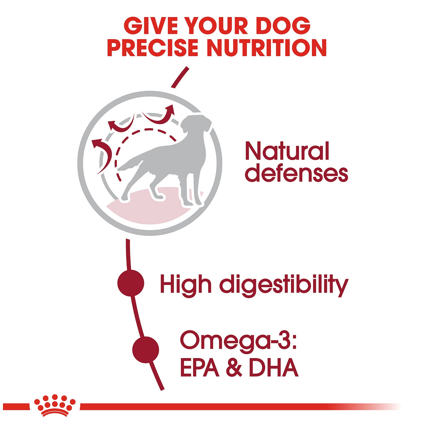 Royal Canin Medium Breed Adult Dry Dog Food, 30-lb bag