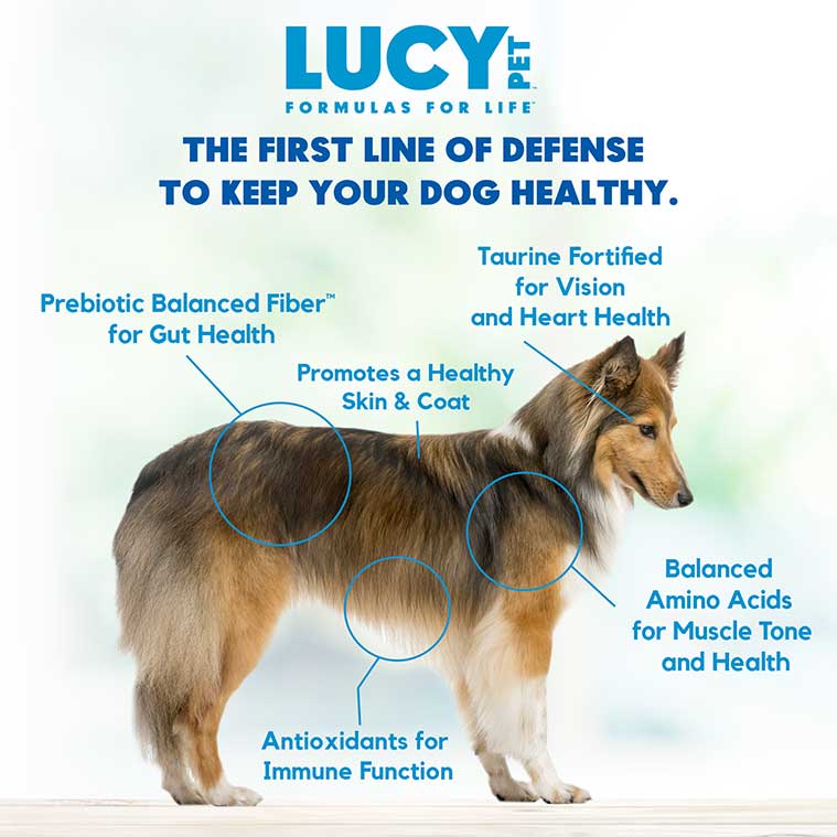 Lucy Pet Chicken, Brown Rice & Pumpkin Limited Ingredient Diet Small Bites, Dry Dog Food, 4.5-lb Bag