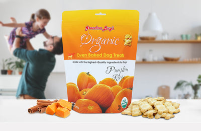 Grandma Lucy's Organic Oven-Baked Pumpkin Recipe Dog Treats, 14-oz Bag