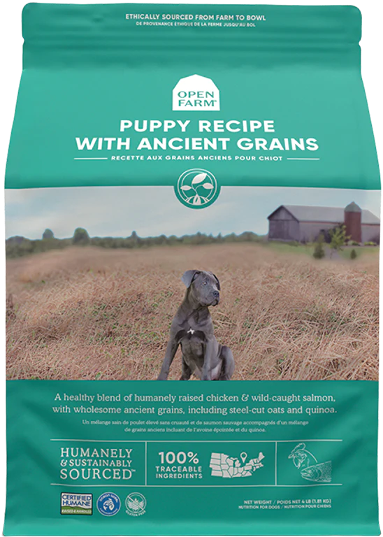 Beautiful view of Replacing Grains In Commercial Puppy Food