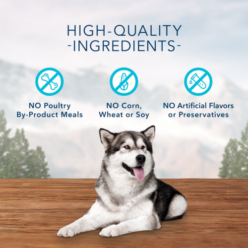 Blue Buffalo Wilderness Trail Treats High Protein Grain Free Crunchy Dog Treats Biscuits, Salmon Recipe, 10-oz Bag