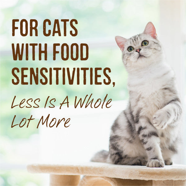 Merrick Limited Ingredient Diet Grain Free Real Turkey Recipe Pate