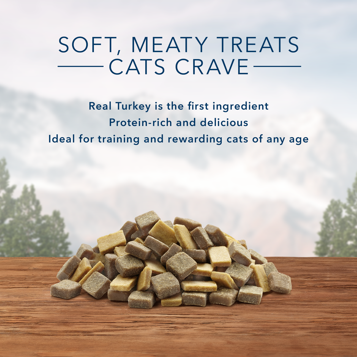 Blue Buffalo Wilderness Grain Free Soft-Moist Cat Treats, Chicken and Salmon Recipe 2-oz Bag