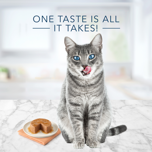 Blue Buffalo Tastefuls Natural Pate Wet Cat Food, Salmon Entrée, 5.5-oz Case of 12