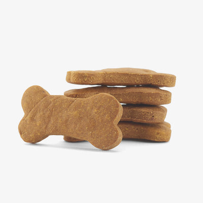Portland Pet Food Company Grain-Free Pumpkin Biscuit 5-oz, Dog Treat