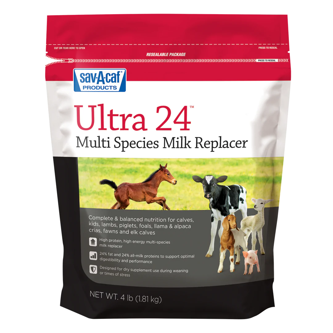 Sav-A-Caf Ultra 24 Multi Species Milk Replacer