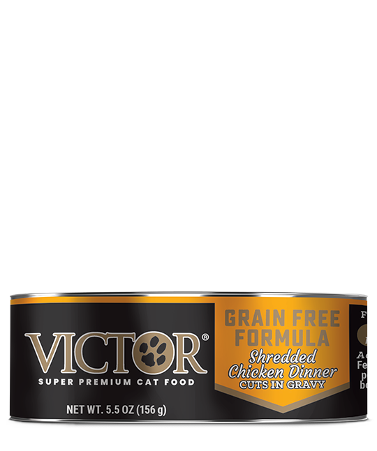 VICTOR® Grain Free Formula Shredded Chicken Dinner Cuts in Gravy, Wet Cat Food, 5.5-oz Case of 24