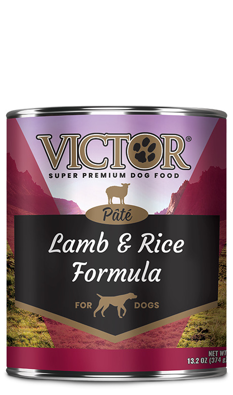 VICTOR® Lamb and Rice Formula Pâté, Wet Dog Food, 13.2-oz Case of 12