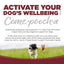 Nutrisource Come·pooch·a™ Beef Bone Broth 12-oz, Meal topper
