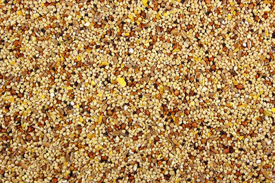 Leach Wild Bird Seed Without Sunflower Seeds, 25-lb Bag
