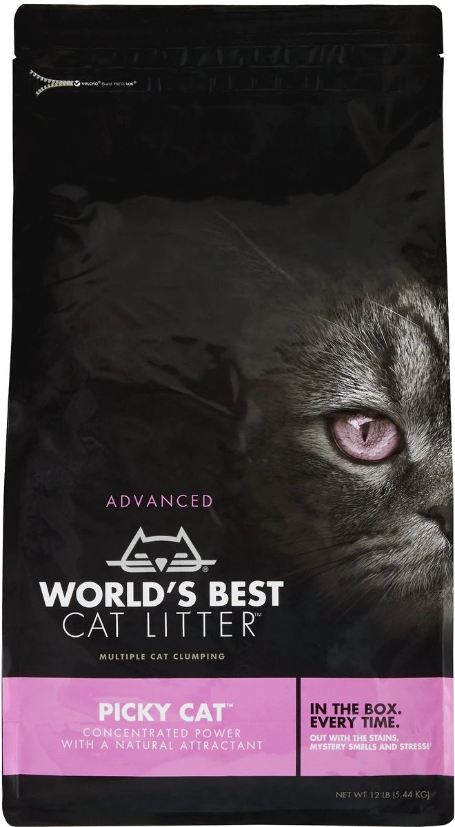 World s Best Cat Litter Picky Cat Cat Litter